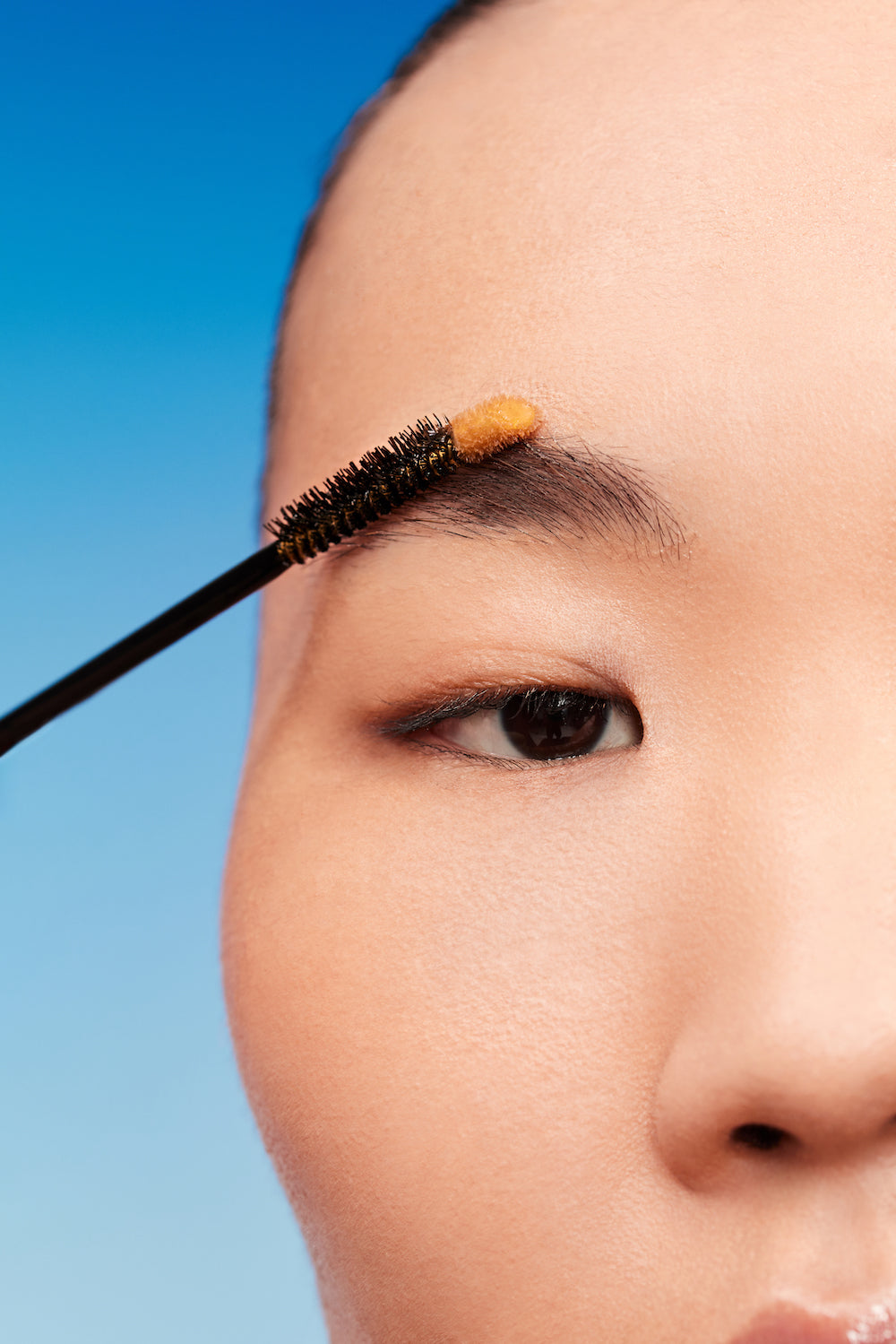 Liposourcils Platinium