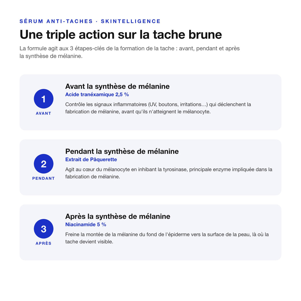 Sérum Anti-Taches Talika : schéma de la triple action, acide tranéxamique, extrait de pâquerette, niacinamide